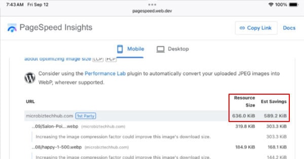 Screenshot of Google PageSpeed Insights suggesting image compression improvements and WebP conversion for faster site performance.