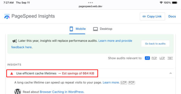 Screenshot of Google PageSpeed Insights highlighting inefficient cache lifetimes with red warnings for MicroBiz TechHub website performance.